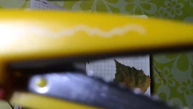 МК. Страница осени в ЛД. смотреть онлайн