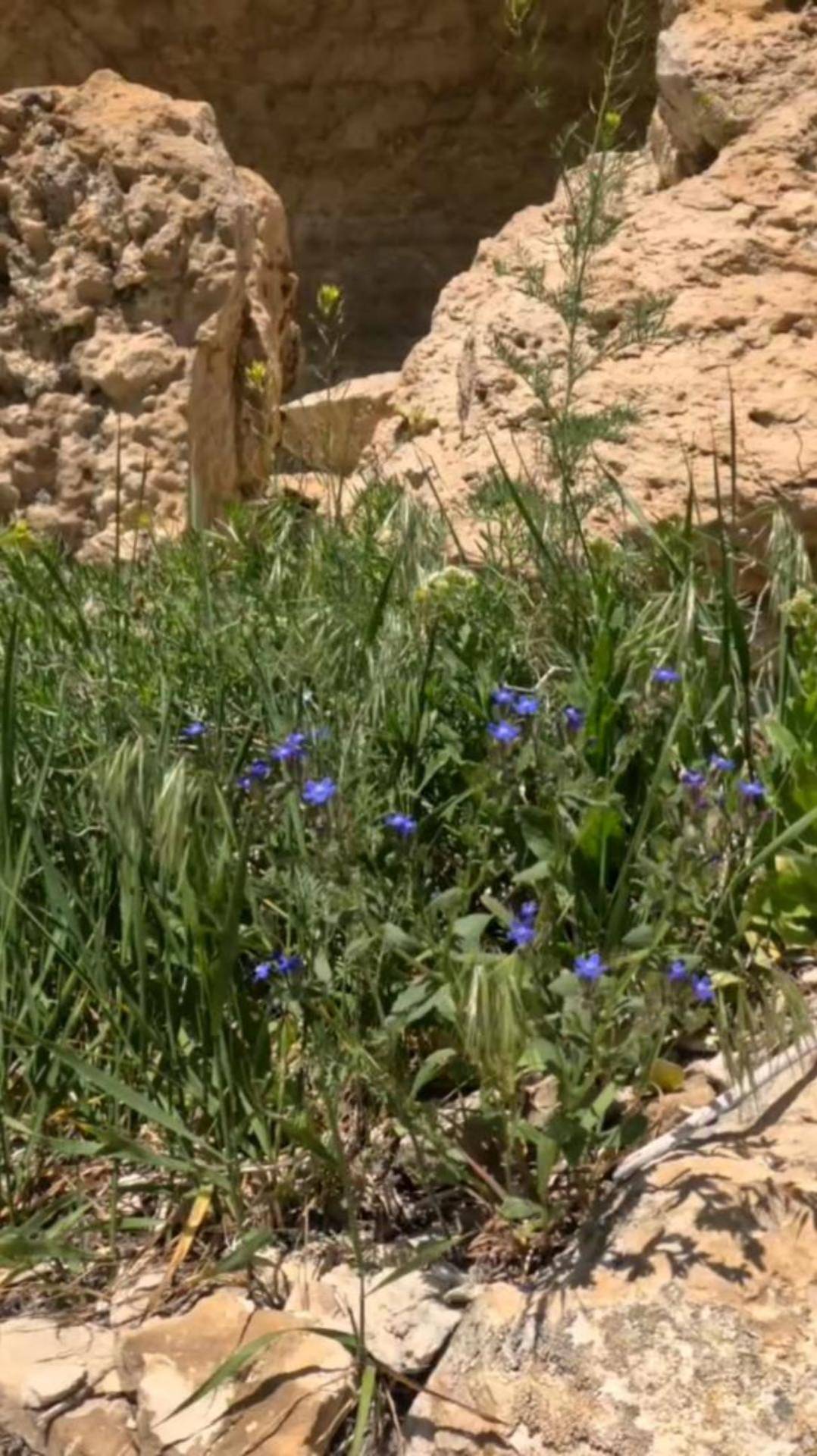 Красиво смотреть онлайн