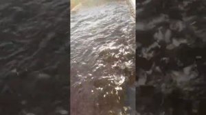 Прозрачная лечебная вода с полезными микроэлементами