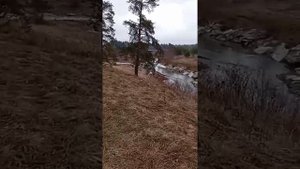 Идем в лес пить чай 🤙🤙🤙