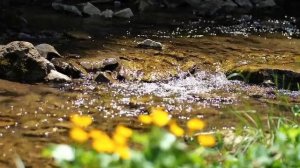 Жизненный поток 22