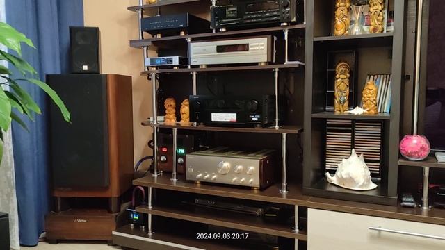 Denafrips PONTUS 15th R2R + Акустический Audioquest WEL cable (China) + i2s FireBird 48