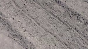 Высадка баклажанов в грунт под укрытие