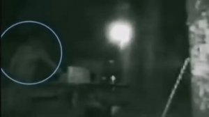 СНЕЖНЫЙ ЧЕЛОВЕК BIGFOOT редкие кадры