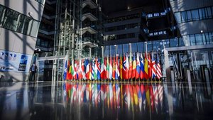 Политолог допустил стремление ЕС создать новый блок в рамках НАТО