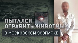 Подбросил таблетки в вольер: житель Москвы подозревается в попытке отравления животных в зоопарке