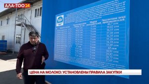 Цена на молоко: Установлены правила закупки