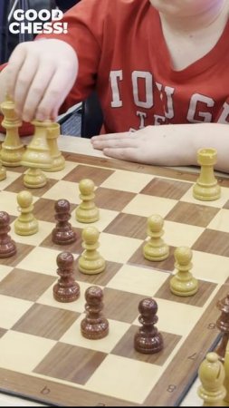 GOOD CHESS! Исторический парк "Россия - моя история". Шахматы и культура
https://t.me/mvr_series