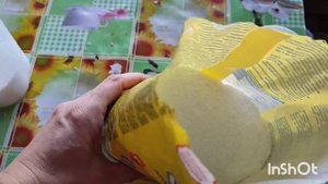 НАЧАЛА ПОДКАРМЛИВАТЬ ПОРОСЯТ СУХИМ МОЛОКО, СХОДИЛА В ?