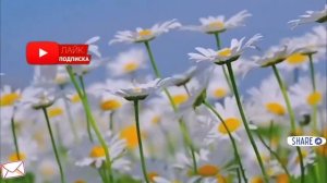 Я еле смогла выгнать мужа и его маму из своей квартиры