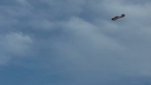 Полёты в третий раз