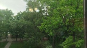 Vid