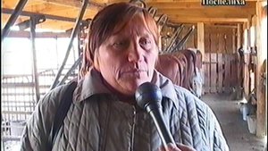 будни животноводства п. Поспелихинский 2006г