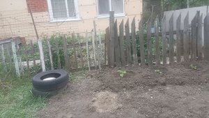 1000029478.mp4 28 мая . 2 часть. Клумба будет.
Укус клеща.