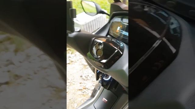 Акрапович на скутер Z max