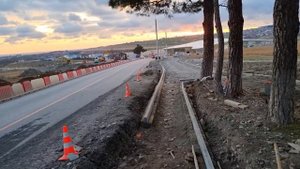 ГЕЛЕНДЖИК. SOS!!! УНИЧТОЖЕНИЕ ПИЦУНДСКИХ СОСЕН ПРОДОЛЖАЕТСЯ