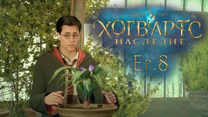 Ep.8: Стандартное обучение волшебству / Хогвартс Наследие / Hogwarts Legacy / 101%