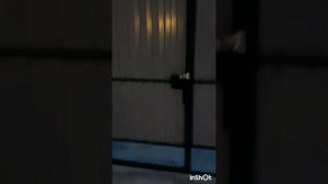 ПроПокупки.Озон.Уличный фонарь на солнечной батарее с тремя режимами.Обзор.Фильм2.Серия3.mp4