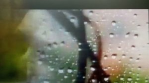 ЛЕТО ЗА ЛЕТОМ.