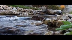 AMAN group - Vay aman koy-su yaga - Вай аман къой-су ягъа - группа АМАН