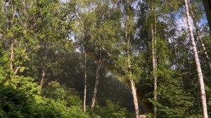 летние маркеты, новые рестораны в москве | готовлю мат?