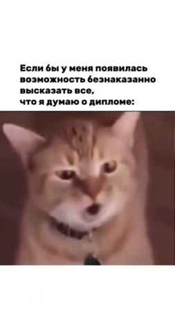 Агрессивно мяукаем