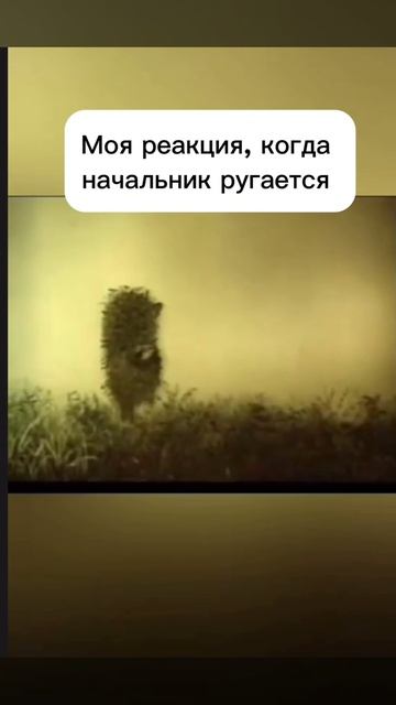 #работа #работатакаяработа #начальник #зарплата #увольнение #отпуск #коллектив #коллеги #юмор #смех