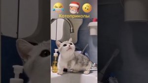 1000099130.mp4