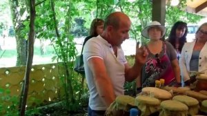 Как отличить настоящий мед от поддельного