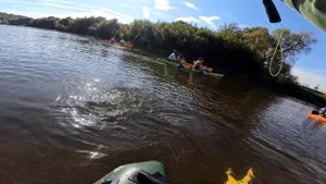 Голавль.Тенкара. Сплав на плотах. Верхняя Москва-Река.