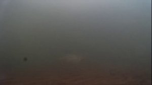 Подводное видео после ледостава 24.11.16г.