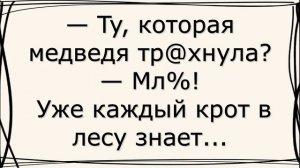 Новые Анекдоты Про Вовочку и Винни Пуха