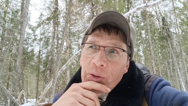 Брожу по тайге. Домашние новости, проблемы с интернето
