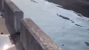 Четыре человека погибли в результате серии землетрясений на острове Тайвань, 3 апреля 2024.