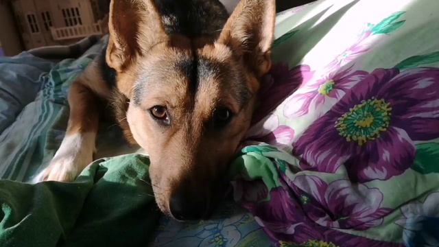 video5312218720825800434 1