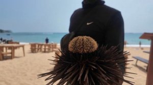 Шри-Ланка 2025. Унаватуна. Черепаший пляж. Далавелла. Вил