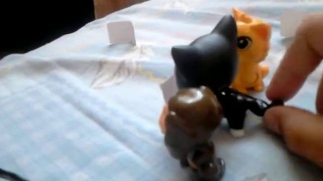 Сериал СИНИЙ КИТ смотреть онлайн