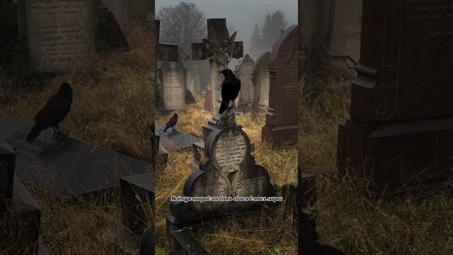 Воркшоп. Кладбищенская магия