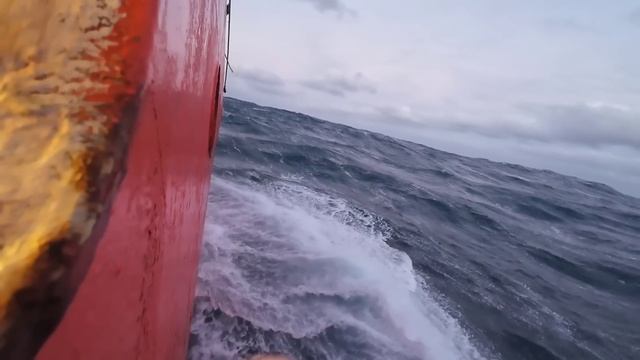 Неделя на борту: судовой повар готовит завтраки, обеды