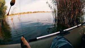 РЫБАЛКА НА БАМБУКОВУЮ УДОЧКУ | РЫБАЛКА НА КАРАСЯ