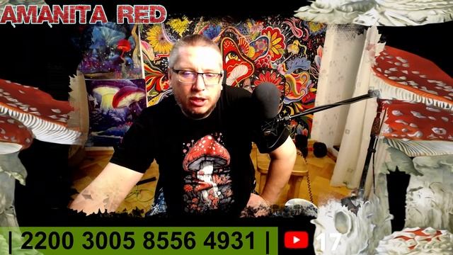 СТРИМ - Без Объявления Любви