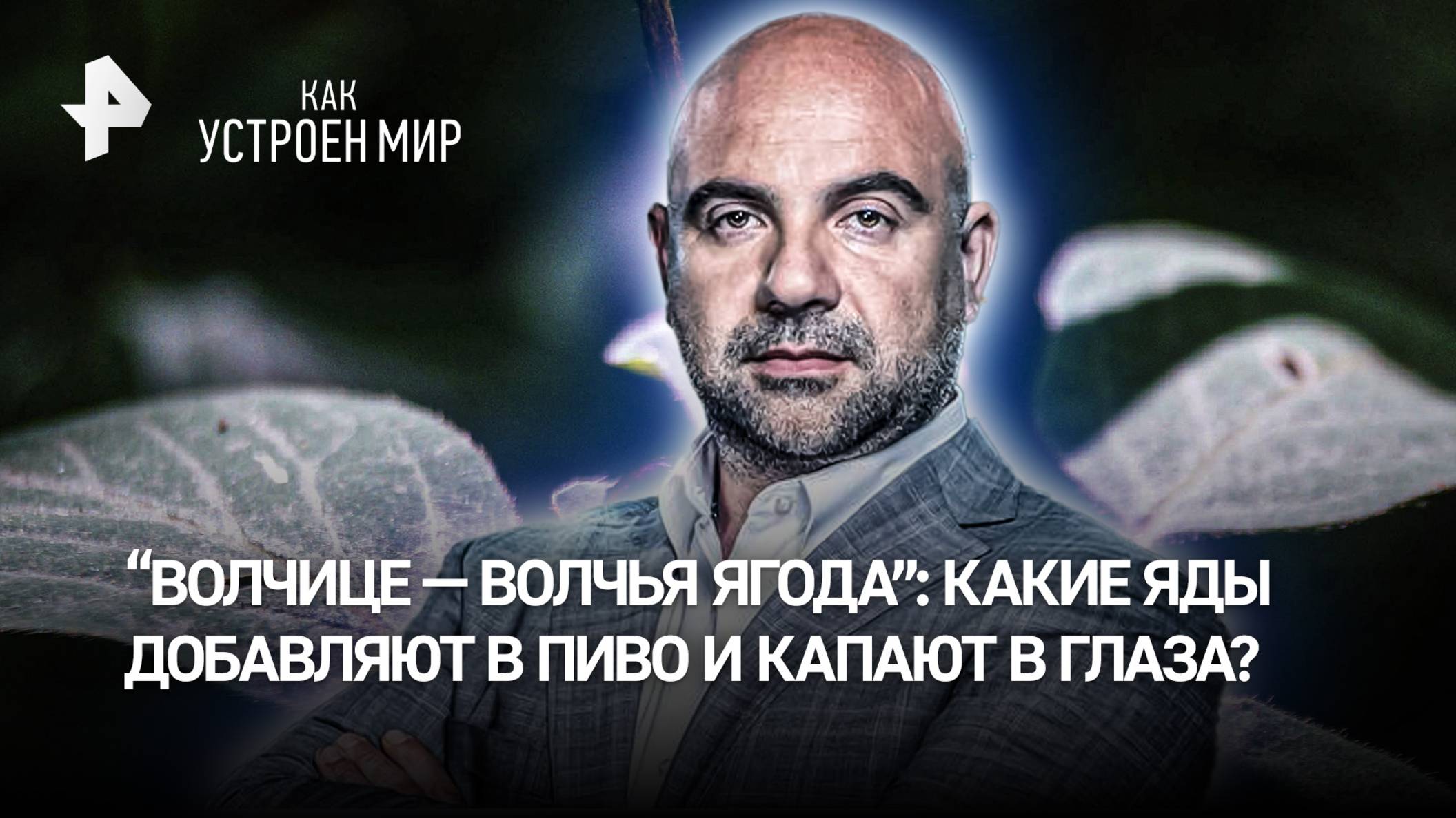 Волчице  волчья ягода: какие яды добавляют в пиво и капают в глаза? / Как устроен мир