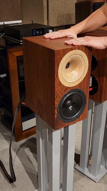 Odeon Orfeo #shorts смотреть онлайн