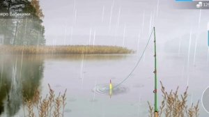 Как поймать угря в игре My Fishing World