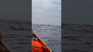 Каноэ🛶 это супер лодка)!😍👍💪🤗🕉♾️☯️ Семейный  о?