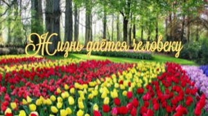 Жизнь даётся человеку
