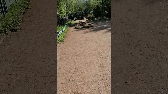 Прогулка по дворам