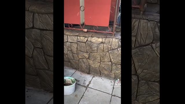 оформление фасада дома декоративная штукатурка  маст? смотреть онлайн