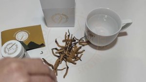 Кордицепс Cordypower 5 грамм