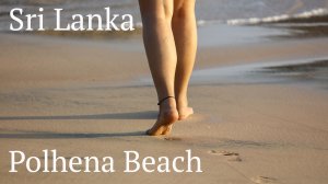 Шри-Ланка , Reef Garden Hotel , Polhena Beach